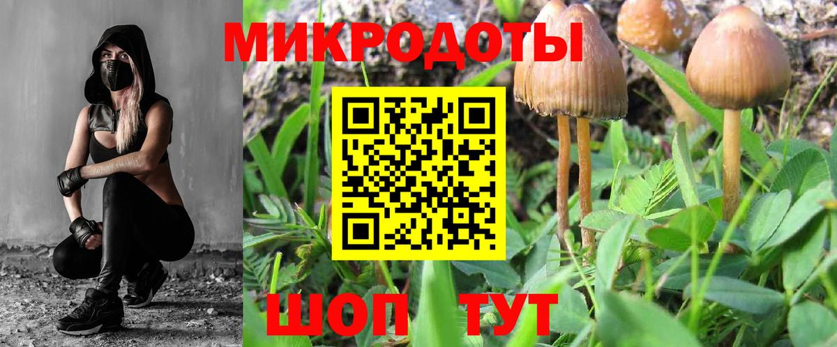 Псилоцибиновые грибы мицелий Казань