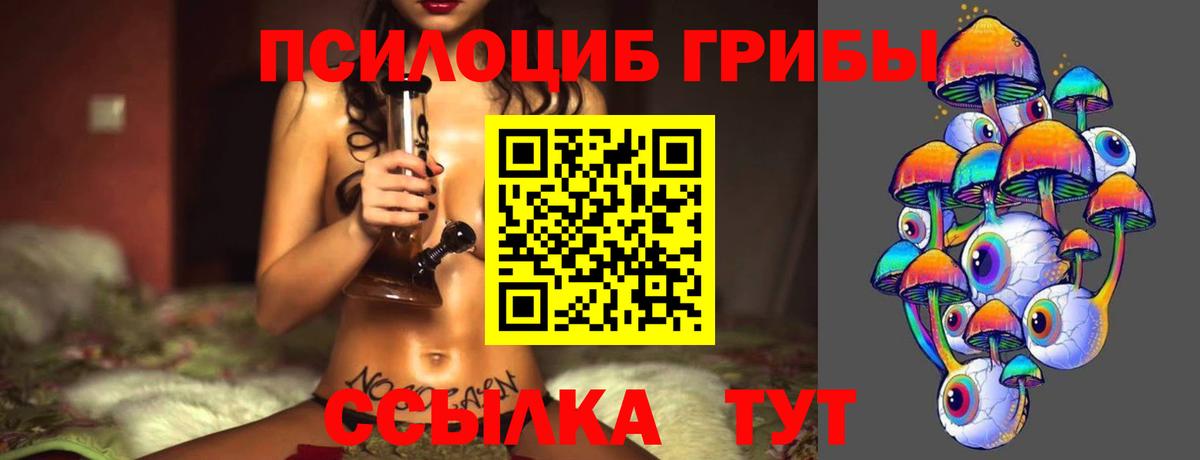 Псилоцибиновые грибы MAGIC MUSHROOMS  Галлюциногенные грибы мицелий  Казань  Вход с VPN 